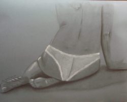 2013 2013