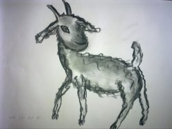 חד גדיא, Passover, charcoal, April 2011 חד גדיא, Passover, charcoal, April 2011