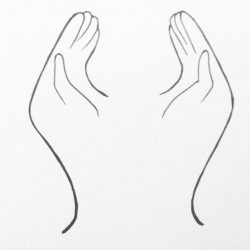 2015 2015