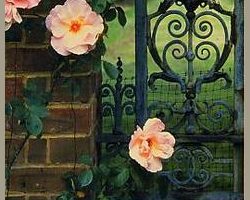 הנערה מקרן הזהב, קורבאן סעיד, הוצאת זמורה ביתן, 2003, תרגום: מיכאל דק הנערה מקרן הזהב, קורבאן סעיד, הוצאת זמורה ביתן, 2003, תרגום: מיכאל דק