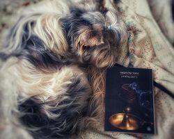 ג'יימס בולדווין, החדר של ג'ובאני, כתר, 2019 ג'יימס בולדווין, החדר של ג'ובאני, כתר, 2019