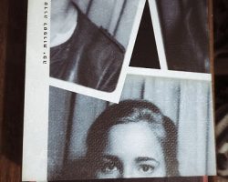 דלפין דה ויגאן דלפין דה ויגאן